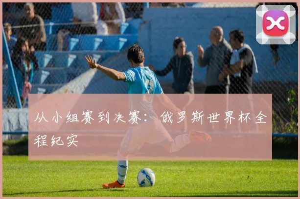 从小组赛到决赛：俄罗斯世界杯全程纪实
